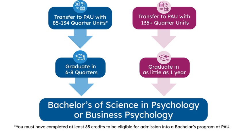 A two-path infographic showing transfer options for PAUs Bachelors programs.
