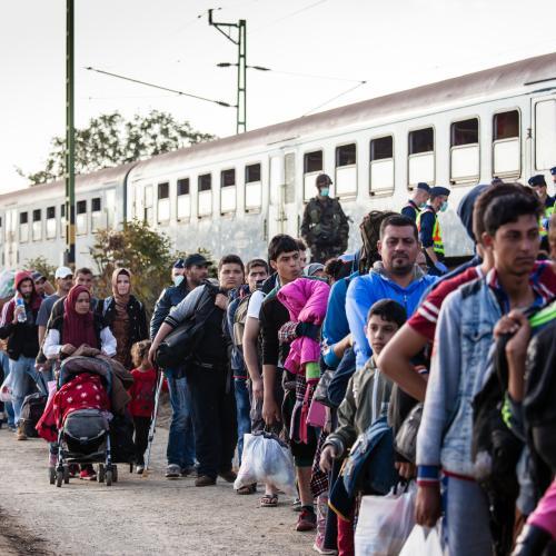 Addressing Mental Health Needs in a Humanitarian Crisis